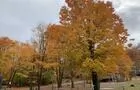 475564425_1142255711023150_381899795592415885_n&nbsp;&nbsp;&nbsp;&copy; Camping aux Bouleaux