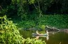 Camping Plage Bernard Rivière - canot kayak&nbsp;&nbsp;&nbsp;&copy; Samuel Cyr Photographe