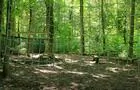 Sentiers hébertisme&nbsp;&nbsp;&nbsp;&copy; camping mirabel