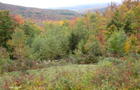 Couleurs d'automne