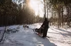Traineau à chiens&nbsp;&nbsp;&nbsp;&copy; Lac-à-l'Eau-Claire