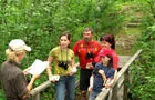 Activité de découvertes