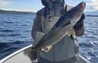 Scott à la pêche&nbsp;&nbsp;&nbsp;&copy; Pourvoirie du lac Faillon