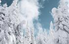 Randonnée hiver&nbsp;&nbsp;&nbsp;&copy; Viviane Gauvin
