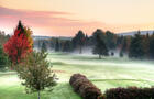 En automne&nbsp;&nbsp;&nbsp;&copy; S.Thibault