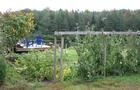 Étang Boisvert - Été - Le jardin&nbsp;&nbsp;&nbsp;&copy; C.Beaudoin