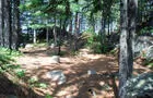 Camping de l'Île