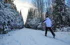 Ski Bel Air&nbsp;&nbsp;&nbsp;&copy; Bel Air Tremblant
