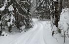 Hiver sentier&nbsp;&nbsp;&nbsp;&copy; Évolution Nature
