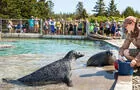 Bioparc de la Gaspésie&nbsp;&nbsp;&nbsp;&copy; Roger St-Laurent, photographe.