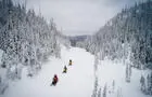 Motoneige&nbsp;&nbsp;&nbsp;&copy; S.Gagnon-Bergeron