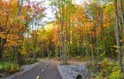 En automne&nbsp;&nbsp;&nbsp;&copy; La Seigneurie des Plaines