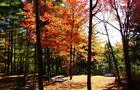 Parc des chutes Lysander&nbsp;&nbsp;&nbsp;&copy; Municipalité d'Inverness