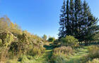 4 acres de terrain