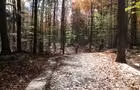 Réserve naturelle du Boisé-de-la-Marconi&nbsp;&nbsp;&nbsp;&copy; Tourisme Drummondville