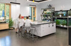 Laboratoire d'écologie&nbsp;&nbsp;&nbsp;&copy; D.Boyer