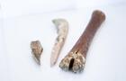 Objets en exposition&nbsp;&nbsp;&nbsp;&copy; Elisabeth Carrier