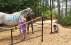 Peinture sur poney&nbsp;&nbsp;&nbsp;&copy; Parc Cavaland