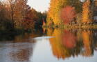 Automne vue arrière&nbsp;&nbsp;&nbsp;&copy; S.Purusha