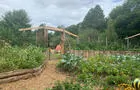 Jardin en permaculture&nbsp;&nbsp;&nbsp;&copy; Archipel Amélio