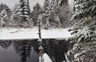 Marais Maskinongé l'hiver