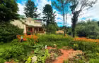 Jardin&nbsp;&nbsp;&nbsp;&copy; Le Salon des Inconnus (Maison Favier)