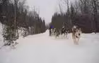 La descente