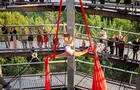 Treetop Walk Laurentides