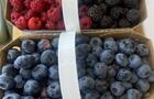 Nos petits Fruits&nbsp;&nbsp;&nbsp;&copy; D.Gendron