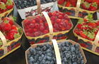 Nos fruits&nbsp;&nbsp;&nbsp;&copy; J.Perron