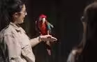 Expérience Zoo la Nuit | Été&nbsp;&nbsp;&nbsp;&copy; Zoo de Granby | Expérience Zoo la Nuit | Vincent Girard