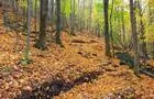 Sentier du Parc des Montagnards&nbsp;&nbsp;&nbsp;&copy; Conservation Espace Nature Shefford (CENS)