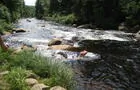 Baignade à la rivière&nbsp;&nbsp;&nbsp;&copy; D.Fleury