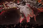 Water Organoids by the collective Shapes of Emergence