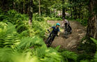 Vélo de montagne&nbsp;&nbsp;&nbsp;&copy; Bromont, montagne d'expériences