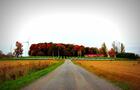 Domaine Labranche - grande boucle de la prohibition- Le Québec à vélo&nbsp;&nbsp;&nbsp;&copy; Tourisme Montérégie