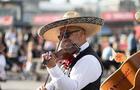 Taco Fest MTL