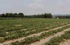 Ferme La Ricardière&nbsp;&nbsp;&nbsp;&copy; Ferme La Ricardière