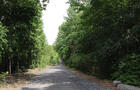 Bois Summit sentier nord&nbsp;&nbsp;&nbsp;&copy; Ville de Westmount