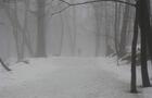 Sentier en hiver&nbsp;&nbsp;&nbsp;&copy; Ville de Westmount