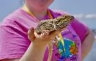 Animaux&nbsp;&nbsp;&nbsp;&copy; Se2 - Science, expérience et éducation