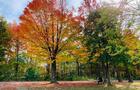 Parc des Voltigeurs&nbsp;&nbsp;&nbsp;&copy; Tourisme Drummondville