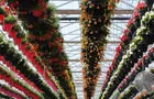 Serres&nbsp;&nbsp;&nbsp;&copy; Jardinerie Fortier