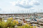 Marina&nbsp;&nbsp;&nbsp;&copy; QUAI 1635