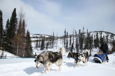 Attractions Boréales