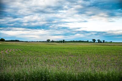 Circuit 1 de Saint-Narcisse