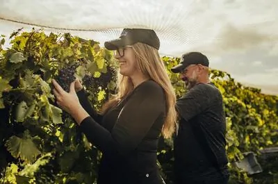 Vignoble Côte des Limousins