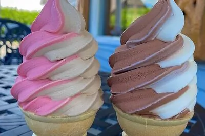 Bar Laitier Bizz Glace