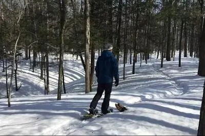 Parc nature Bois-Robert