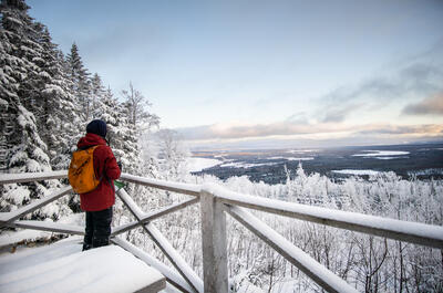 Sentiers du Morne et de la Maison du granit / Randonée pédestre, réseau